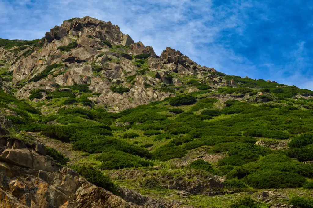 2024年上海五金交电市场趋势分析：贸易服务助力工厂效率提升