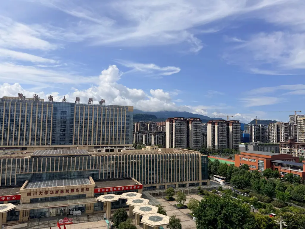 上海峰麟榕商贸机电设备供应体系与选型匹配方案解析