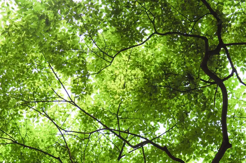 电动工具锂电池技术突破及其在装修工程中的应用前景